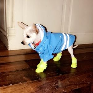 puppy rain outfit 💙